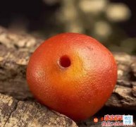 紅皮老蜜蠟價格，顏色越紅是不是意味著年份越老？