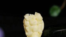 蜜蠟白蠟多少錢一克