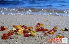 小松帶你見識不一樣的波蘭密蠟雞油黃！
