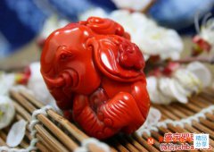錦紅南紅固然好，但也不是隨便能碰的