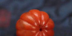 南紅瑪瑙產地是哪里,最正宗的是這兩個地方