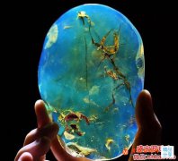 萬元一克的頂級琥珀是什么樣的，你看過嗎？