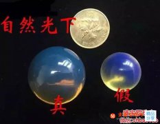 如何鑒別藍珀，看這兩點足矣！
