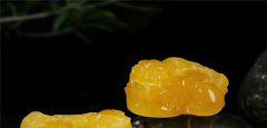 雞油黃白花蜜蠟價格，你應該知道的！