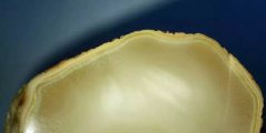 水煮蜜蠟原石多少錢一克