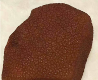 帶皮白蜜蠟原石圖片和價格