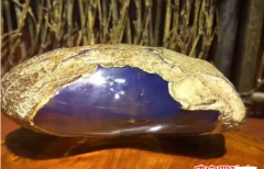 墨西哥琥珀原石價格多少錢一克？