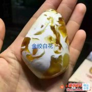 金絞白花蜜蠟