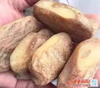 白花蜜蠟的種類，這種最新黑科技白花蜜蠟你肯定沒見過！