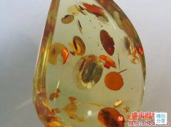 花琥珀圖片，里面的花是真的嗎？
