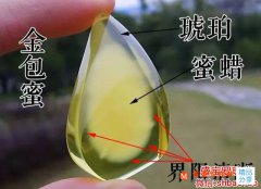 金包蜜蠟圖片，似雞蛋一般的新奇蜜蠟！