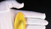 金絞蜜蠟內含包裹物應該怎么稱呼，蜜蠟OR蟲珀？