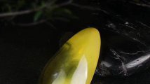 金絞蜜和蜜蠟哪個好，別糾結這里有答案！