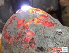 琥珀是怎么形成的，這么說你應該能明白！