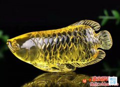 琥珀是玉嗎，我說它比玉更好你信嗎？