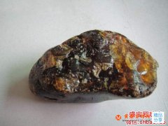 煤琥珀原石價格多少錢，什么是煤琥珀原石？