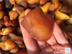 琥珀綠色原石價格如何判斷，琥珀原石價格多少錢？