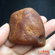 琥珀原石價格最新行情
