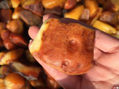 頂級蟲琥珀原石的價位