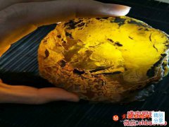 真琥珀原石多少錢一克