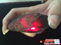 血珀原石多少錢一克,不同產區血珀的特點!