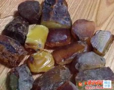 波羅的海琥珀原石多少錢一克,選購原石靠譜嗎?