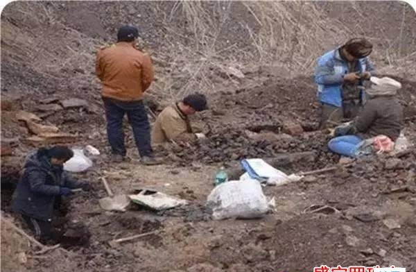 撫順琥珀原石多少錢一克
