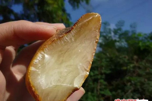 琥珀蜜蠟原石價格，你應該了解一二！