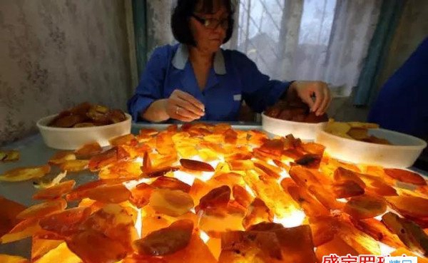 琥珀原石價格多少錢一克，揭秘石頭的真實價值！