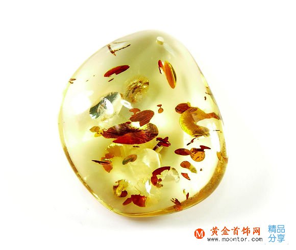 立陶宛：琥珀之國