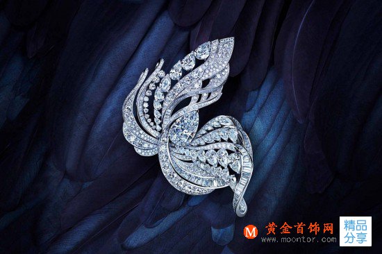 De Beers Diamond Jewellers：光之珠寶商-品牌感人故事