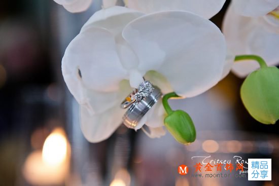 定格幸福瞬間！與眾不同的創意婚戒攝影-創意珠寶
