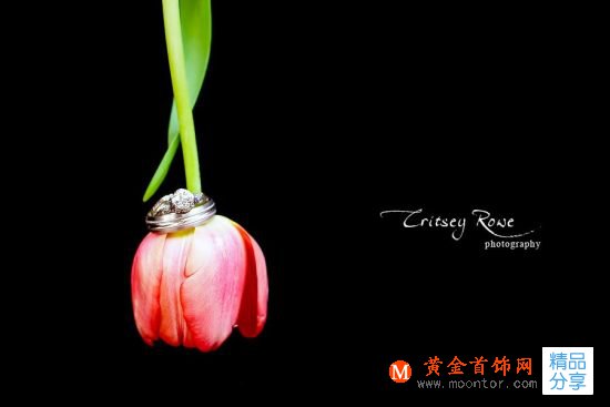 定格幸福瞬間！與眾不同的創意婚戒攝影-創意珠寶