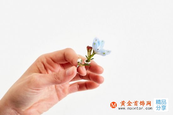 Gahee Kang：讓四季在你指尖輪回-創意珠寶
