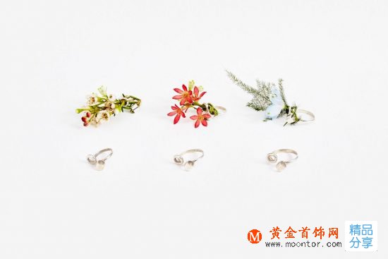 Gahee Kang：讓四季在你指尖輪回-創意珠寶