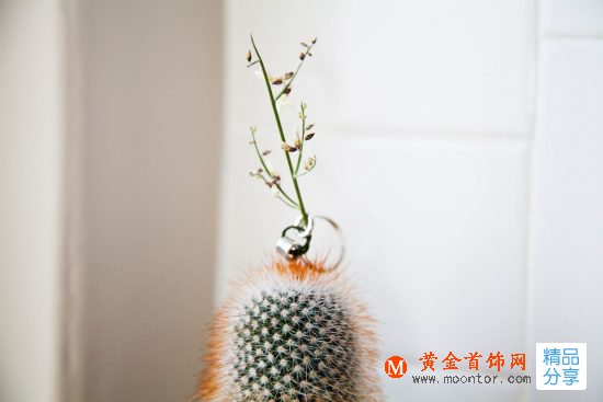 Gahee Kang：讓四季在你指尖輪回-創意珠寶