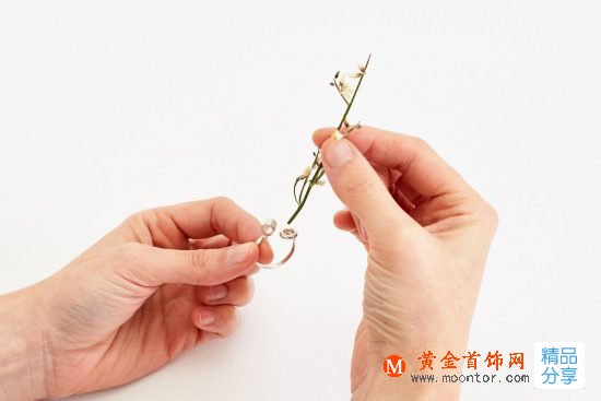 Gahee Kang：讓四季在你指尖輪回-創意珠寶