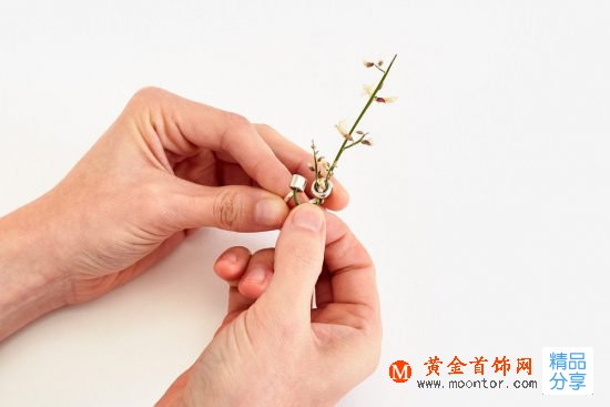 Gahee Kang：讓四季在你指尖輪回-創意珠寶