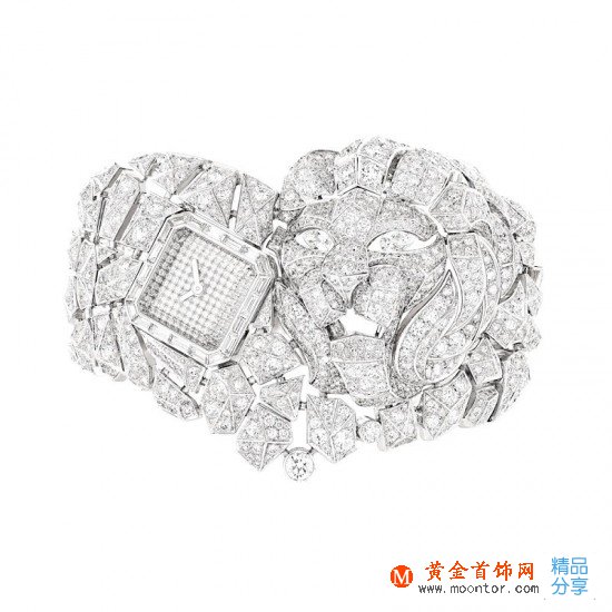 Chanel：與獅相伴-品牌感人故事