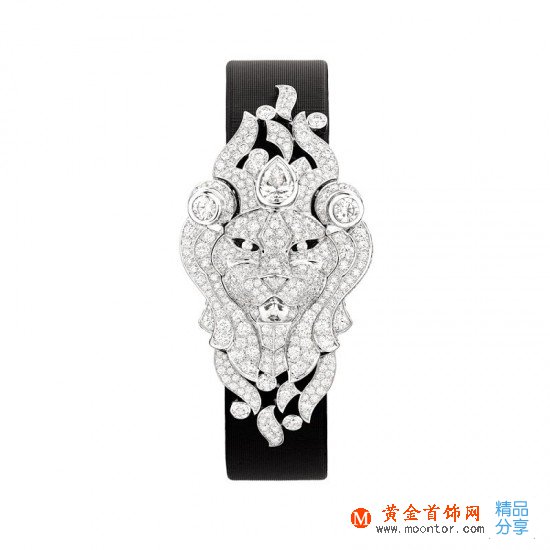 Chanel：與獅相伴-品牌感人故事