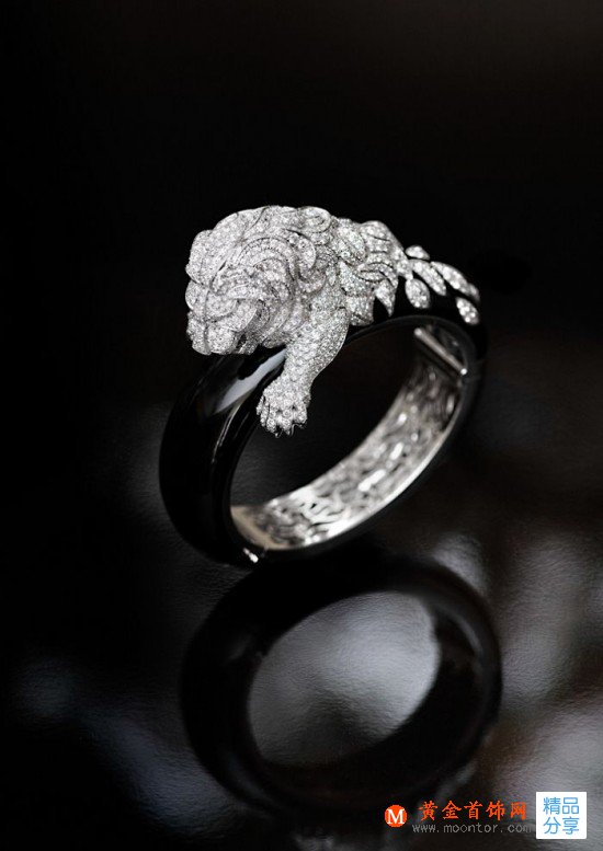 Chanel：與獅相伴-品牌感人故事