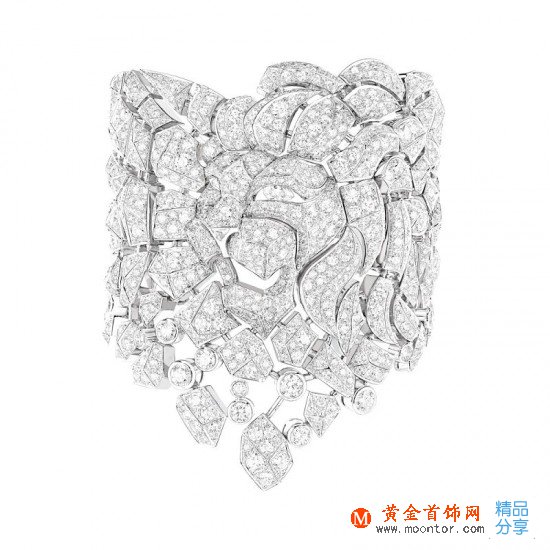 Chanel：與獅相伴-品牌感人故事
