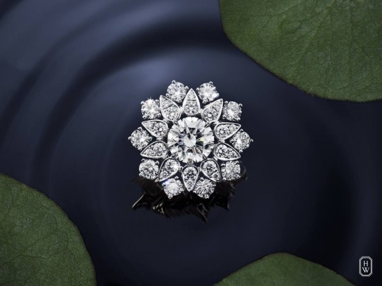 Harry Winston：君子之花-創意珠寶