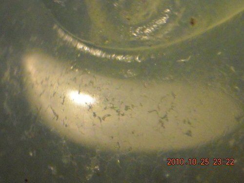 翡翠鑒定范例：水沫子(灌膠、染色)-珠寶首飾展示圖【行業經典】