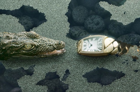 Cartier：鱷魚的誘惑-珠寶首飾展示圖【行業經典】