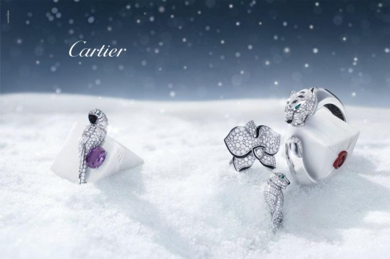 卡地亞Cartier帶你游歷風雪國度-珠寶首飾展示圖【行業經典】
