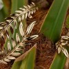 Chopard用“良心黃金”打造金棕櫚Palme Verte珠寶系列-珠寶首飾展示【行業精選】