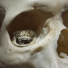 Skull Ring骷髏戒指-創意珠寶