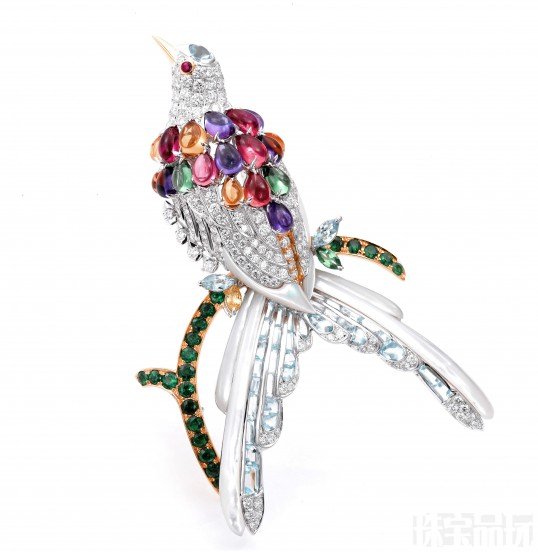 Larry Jewelry繽紛彩寶展露夏日情懷-珠寶首飾展示圖【行業經典】