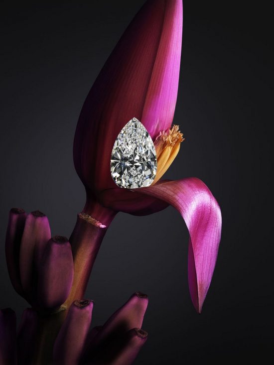 璀璨非凡！蕭邦(Chopard)打造Garden of Kalahari高級珠寶系列-精美珠寶【秘密：適合高貴女人的珠寶